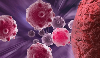 Cancer Cells